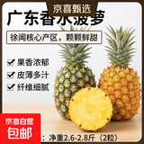 广东香水菠萝新鲜水果徐闻菠萝当季孕妇菠萝非凤梨整箱包邮 净重2.6-2.8斤（2粒）单果650g起