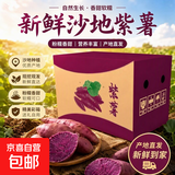 正宗沙地紫薯紫罗兰紫薯宝宝早餐辅食烤红薯地瓜农家自种源头直发 紫薯中小果 彩箱5斤装