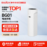 神牛  补光灯 LC500Mini补光灯 棒灯 双色温补光棒 手持摄影灯 户外便携直播拍照 人像美颜灯 可拆卸电池BG01手柄【白色】 标配