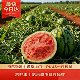 京鲜生 无籽麒麟西瓜 1粒装 净重5-7斤 生鲜水果