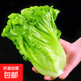 新鲜生菜生吃即食意大利生菜新鲜生菜沙拉蔬菜生菜火锅烤肉涮菜 带箱5斤（净重 4.6斤）新鲜意大利生菜