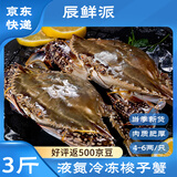 辰鲜派【冷冻】梭子蟹舟山特大螃蟹3斤梭子蟹4-6两/只 当季新蟹 源头直发