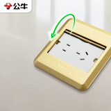 公牛（BULL）开关插座五孔地插座全金属面板金色5孔地插地板地面插座GD8Z223