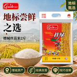 挂绿增城丝苗米2斤 国家地标(增城特产) 南方籼米
