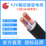 国超电缆YJV-0.6/1KV-2*10铜芯国标架空户外防老化2芯电力电缆 1米【现货】