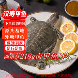 芮宝农场整只冷冻宰杀汉寿甲鱼净重500g生鲜团鱼海鲜水产盒装送调料包