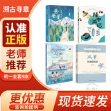 爸爸星 爸爸星砺剑长空 溯古寻章 初一 爸爸星 砺剑长空 隆中游记 汪曾祺精选 驶向世界的大白船 和平方舟 风筝 鲁迅精选集 爸爸星砺剑长空 爸爸星 初一4本套装