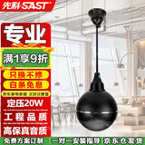 先科（SAST）吊球音响吸顶音箱25W天花吸顶喇叭套装吊顶超市广播系统商场背景音乐 吊球喇叭