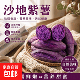 新鲜现挖紫罗兰紫薯蜜薯番薯烤红薯地瓜红苕芋头山芋整箱批发包邮 紫罗兰紫薯2斤（3两-8两）