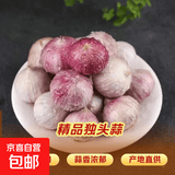 京喜加【东东农场专供】云南独头蒜干蒜果辛辣可口 14头大果直径3.0左右净重200g