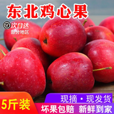 映棠 东北鸡心果【顺丰快递—多地次日达】海棠果玫瑰小苹果甜礼盒装 5斤大果【人工精选】 现摘现发