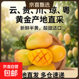四川凯特芒 青黄皮 芒果鲜现摘产地直发微花皮生鲜水果新鲜现摘 2斤小果【带箱】200g+