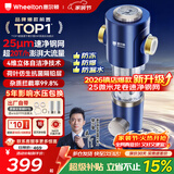 惠尔顿前置过滤器20T大通量过滤25微米反冲洗家用全屋净水器 实时自动清洗刮洗自来水防爆过滤器P0038pro 自行安装【20T-升级25微米精滤】