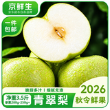 京鲜生国庆礼盒装安徽砀山青翠梨 净重3.5斤单果200-250g+  源头直发