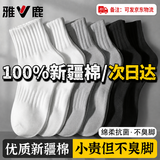 雅鹿【100%新疆棉】袜子男中筒袜抗菌秋冬纯色防臭棉袜 【混色10双】雅鹿专柜正品 10双