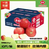 佳农烟台红富士苹果 净重10斤 特大果 单果220g+ 生鲜水果 源头直发