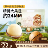三只松鼠夏威夷果500g约24-26mm儿童每日坚果炒货休闲零食团购送礼
