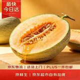 京鲜生 新疆哈密瓜/西州蜜 1粒 单果2.5斤起 生鲜水果