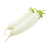 白萝卜约1kg