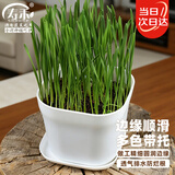 寿禾 花盆超小塑料园艺种植多肉盆栽带托盘 韦尼恩盆含托1个装