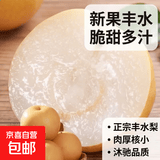 【今年新果】正宗新鲜丰水梨冰糖脆甜薄皮水果非秋月梨沐驰 丰水梨带箱9斤