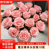 京东鲜花戴安娜单头玫瑰10枝鲜切花送礼生日鲜花送女友手捧花源头直发