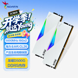 威刚（ADATA）32GB(16GBX2)套装 DDR5 6000 台式机内存条 海力士A-die颗粒 XPG龙耀D500G(白色) C26
