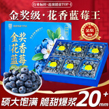 晟容果蔬金奖花香蓝莓【JD/顺丰-多地次日达】秘鲁进口当季鲜果新鲜水果 【爆款80%选】金奖·特级果 | 单果16-18mm 8盒装【蕞划算-全网比价】100g/盒