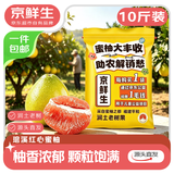 京鲜生 福建琯溪蜜柚净重10斤 大小果混发 源头直发【中秋分享装】