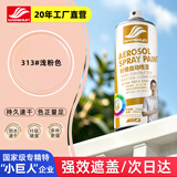 好顺自喷漆313#浅粉色450ml汽车金属防锈油漆家具墙面翻新车轮毂