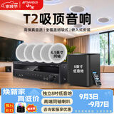 山水（SANSUI）T2 嵌入式吸顶音响音箱 5.1家庭影院音响套装  吊顶喇叭 音箱功放家用商用 家庭吸顶音响客厅环绕 T2【900W功放+6.5吋喇叭*5+8吋炮】