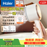 海尔（Haier）手持挂烫机30g爆炸蒸汽160ml水箱家用便携大蒸汽电熨斗小型迷你差旅干湿平挂两用熨衣神器HSS-B08W