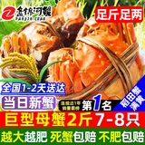 【活蟹】网兜蟹辽宁盘锦河蟹稻田河蟹礼盒螃蟹鲜活大闸蟹原生带泥 全母蟹丨2.4-2.6两【2斤】7-8只（满黄）