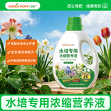 绿盼水培营养液植物通用浓缩肥巴西木一帆风顺龟背观音竹铜钱草水仙花