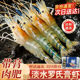 百鲜洽罗氏虾沼虾鲜活冷冻新鲜大头虾超大虾巨型淡水河虾海鲜水产虾类 13-17只/斤 500g(净重)  2*盒-精选只只带膏