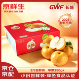 京鲜生长城羊脂秋月梨 净重3斤装 单果250g+ 应季中秋水果