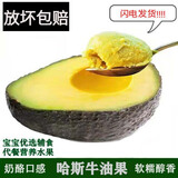 京遇良橙云南哈斯牛油果油 鳄梨 生鲜新鲜水果礼盒果蔬非即食 8个装 特级巨无霸【180-210克】