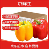 京鲜生山东双色五彩椒净重4.5斤装 单果150g起源头直发