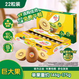 佳沛（zespri）新西兰阳光金奇异果巨大果22粒原箱单果146-175g 猕猴桃水果礼盒