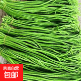 山东莘县大棚豇豆新鲜长豆角凉拌菜脆嫩鲜甜 农家精选带箱5斤装（净重4.2斤）