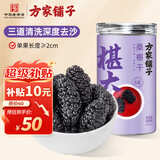 方家铺子6星椹大桑葚干500g/瓶 桑椹干大果均≥2cm黑桑葚子泡水枸杞泡酒