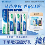 云南白药经典系列牙膏套装 护龈祛渍洁齿 亮白清新口气冬青香型165g*3