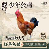 三德子好甄选少年雪山草鸡 净重2.4-3斤 散养土鸡跑山鸡生鲜鸡肉