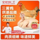 温氏供港三黄鸡2斤 90天 农家土鸡走地鸡 冷冻食品 炸鸡 白切盐焗煲汤