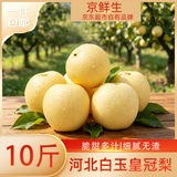 京鲜生河北辛集白玉皇冠梨 净重10斤 单果200g+ 生鲜水果 源头直发