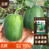 北蔬 苹果丝瓜种子种苗菜瓜籽阳台盆栽种植 苹果丝瓜种子8粒