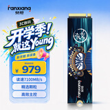 梵想（FANXIANG）1TB SSD固态硬盘 M.2接口NVMe协议PCIe4.0x4 PS5台式机笔记本电脑扩展硬盘 PC存储配件 S790E