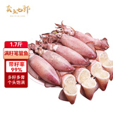 卖鱼七郎全籽笔管鱼净重1.7斤鱿鱼海兔子籽乌满籽带籽火锅食材软足类海鲜