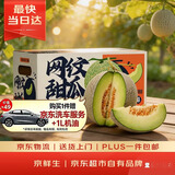 京鲜生 冰淇淋网纹蜜瓜 2粒装 净重4-5斤 单果2斤起 生鲜水果礼盒
