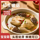 金堂羊肚菌巨鲜羊肚菌四川金堂茬滋补食材金堂特产干货营养菌菇煲汤炖鸡火锅 羊肚菌 50g 约75-90个 纯干 无干燥剂